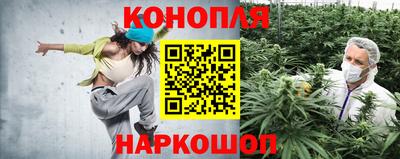 ПСИЛОЦИБИНОВЫЕ ГРИБЫ Краснознаменск