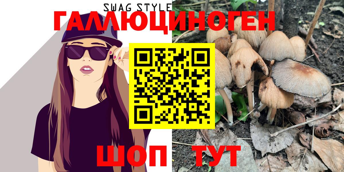 Псилоцибиновые грибы Psilocybe Фрязино